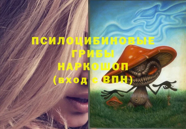 спайс Баксан