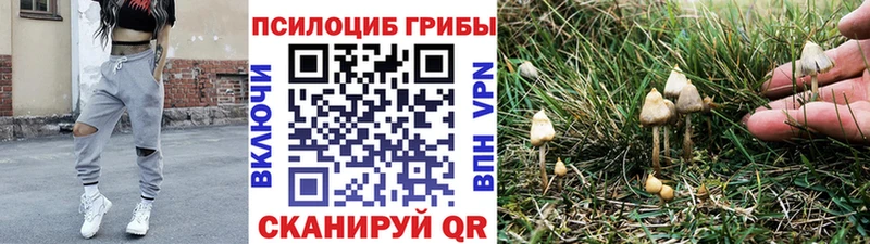 цены   Дыгулыбгей  Галлюциногенные грибы прущие грибы 